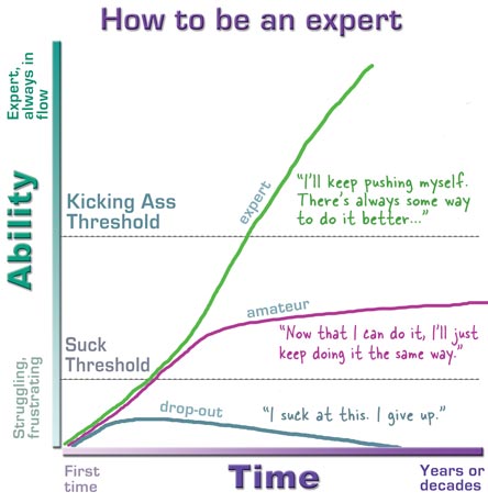 How to be an expert?