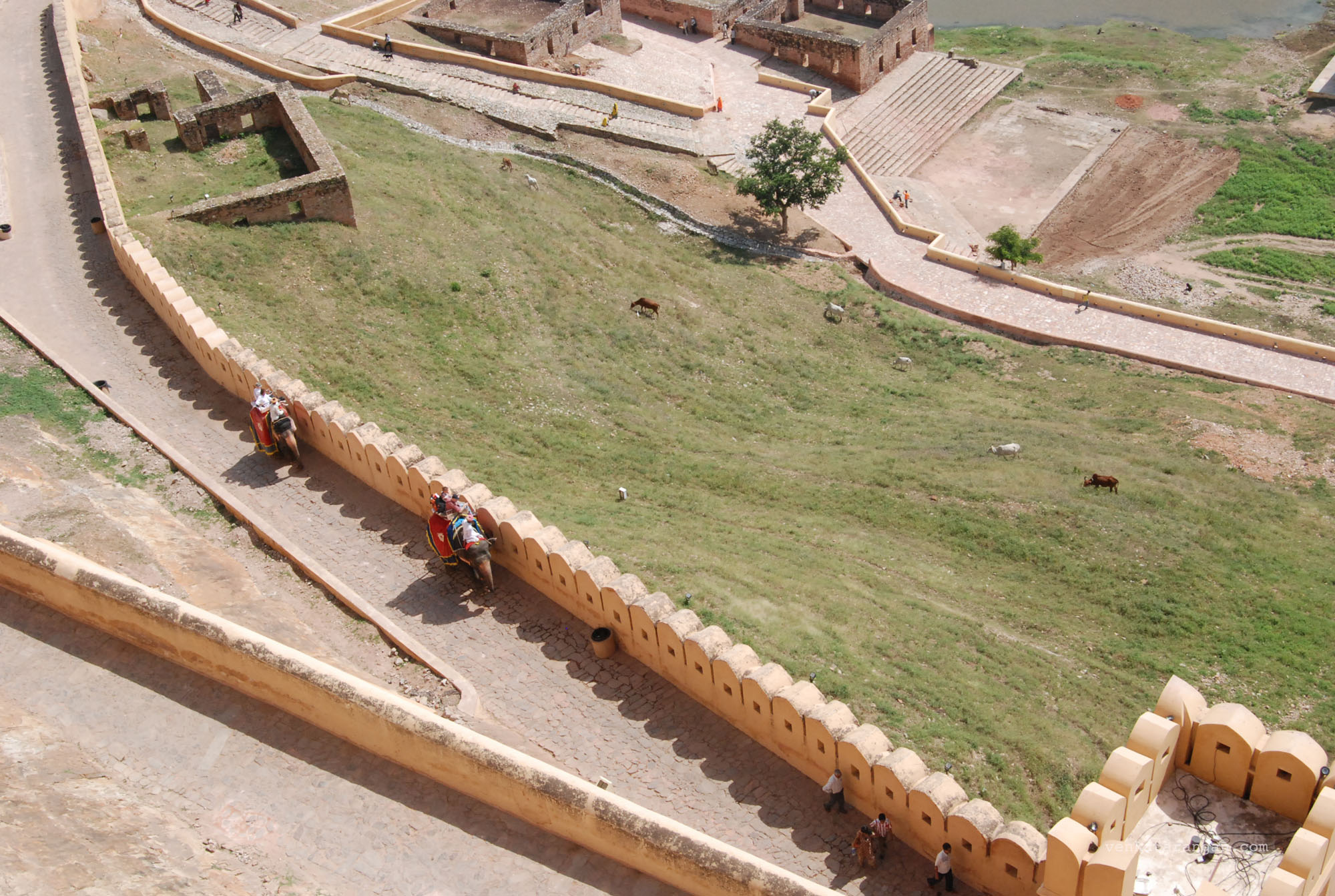 Elephant ride by tourists to the top of the fort