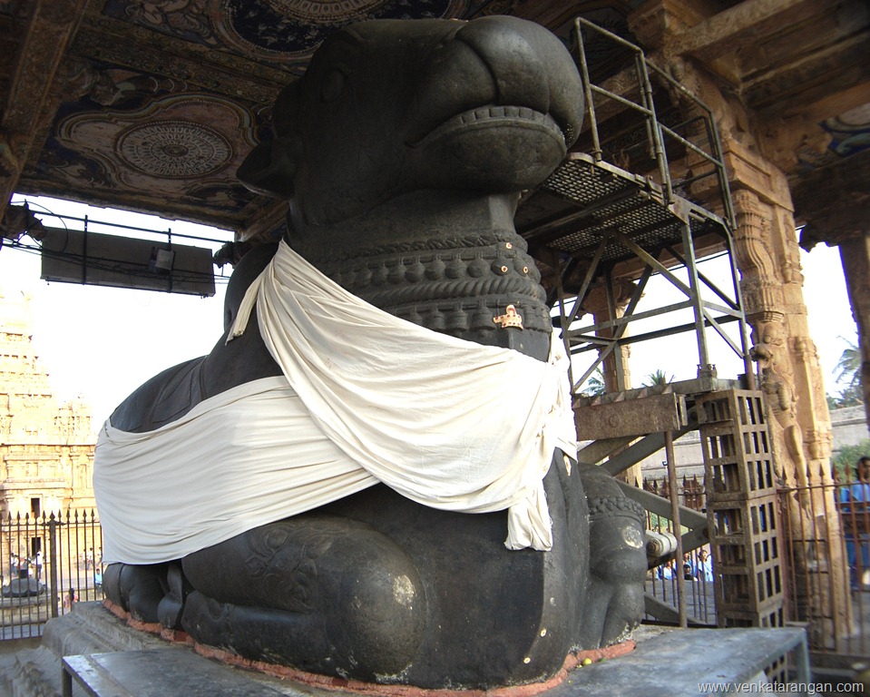 Nandi in Thanjavur Big Temple