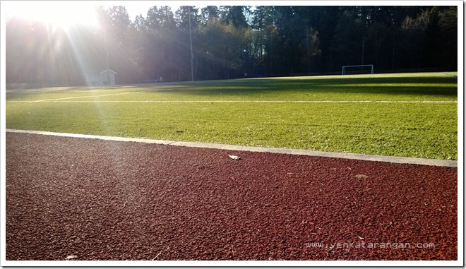 Synthetic Football Court near Bellevue Botanical Garden