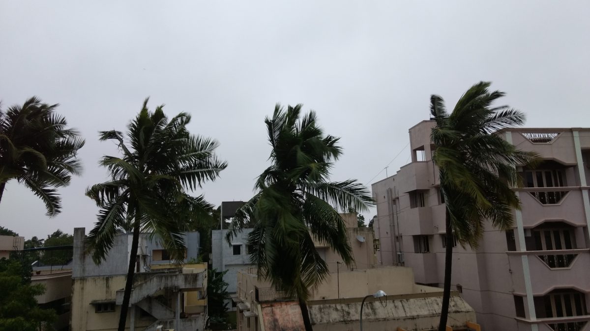 Cyclone Vardah and restorations