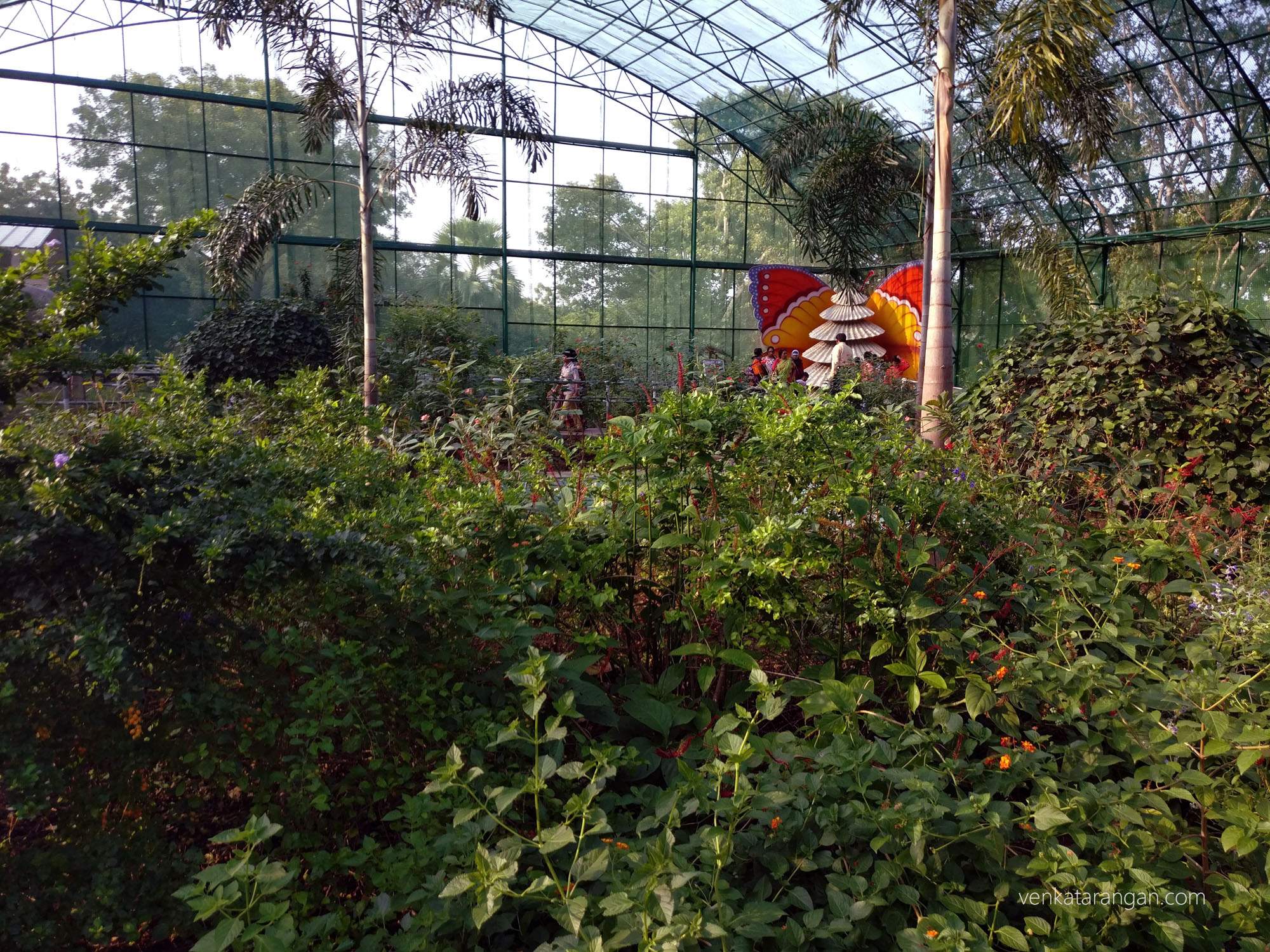 Ramoji Film city - Butterfly park