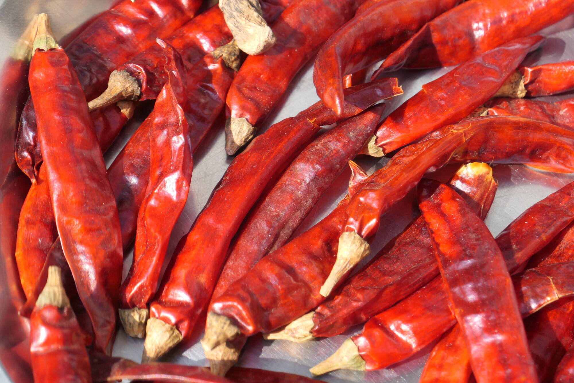 Picture of red chillies taken with Panasonic Lumix DC-Z200