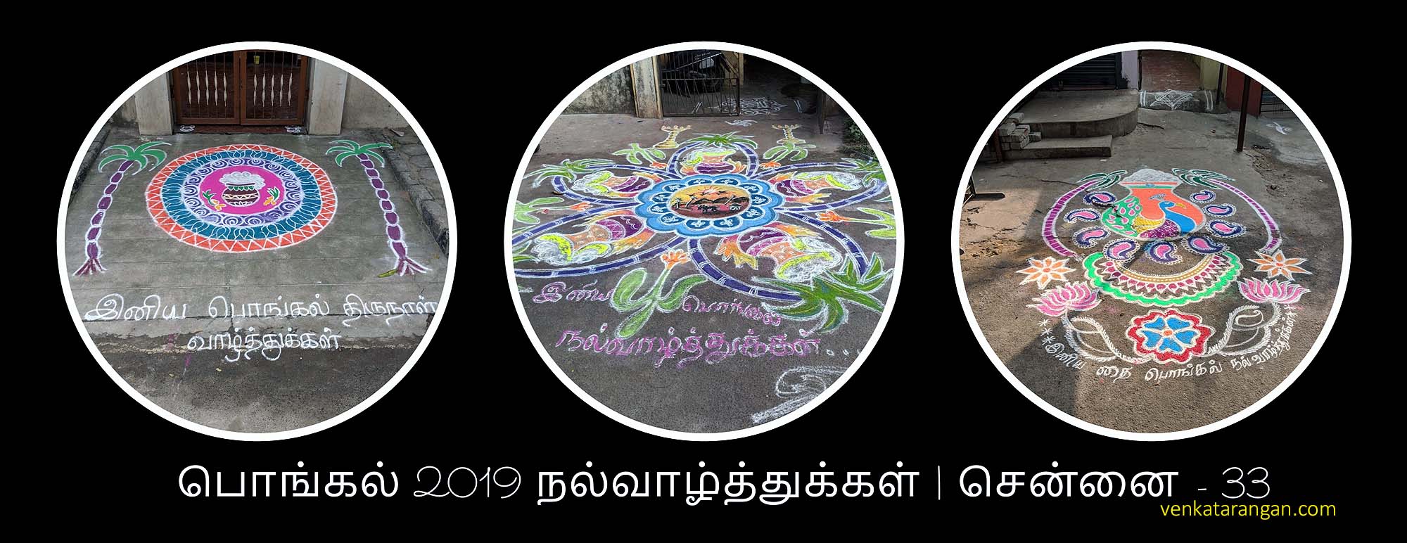 Rice Flour drawings from over 50 houses in my area (Chennai, India)
