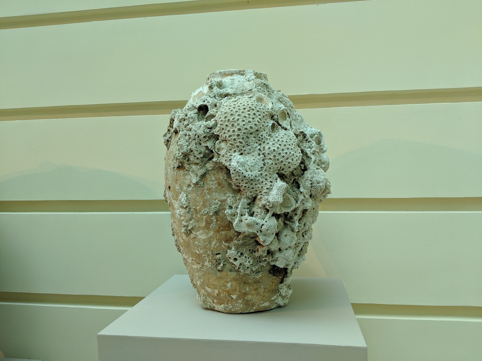 Jar from the Tang Shipwreck collection covered with corals