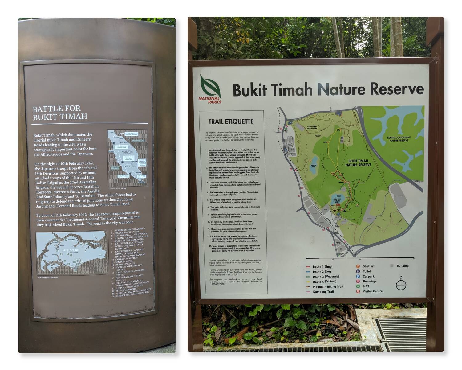 are dogs allowed in bukit timah nature reserve