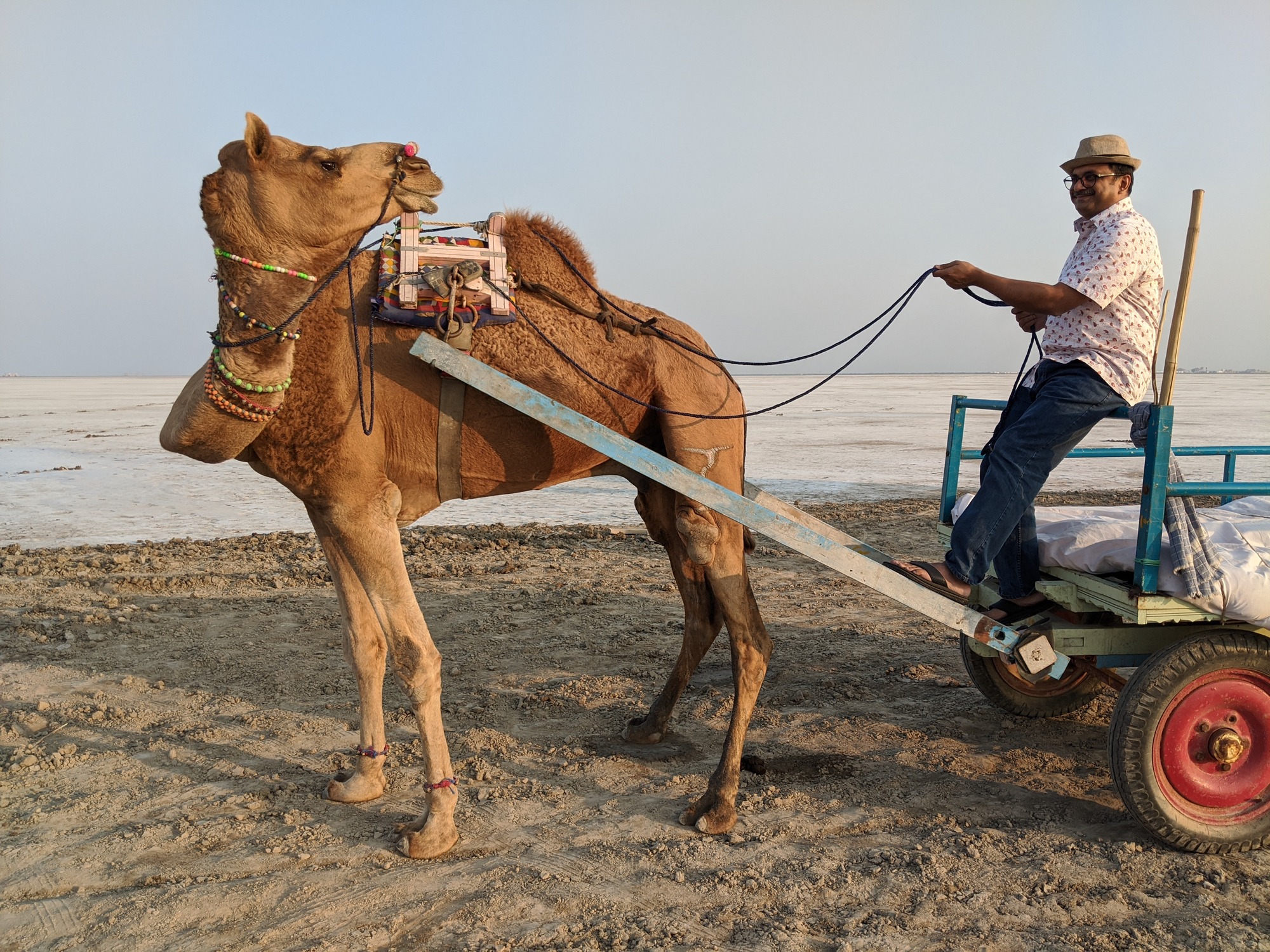 Trying my hand in driving a camel, who turned to instruct me 