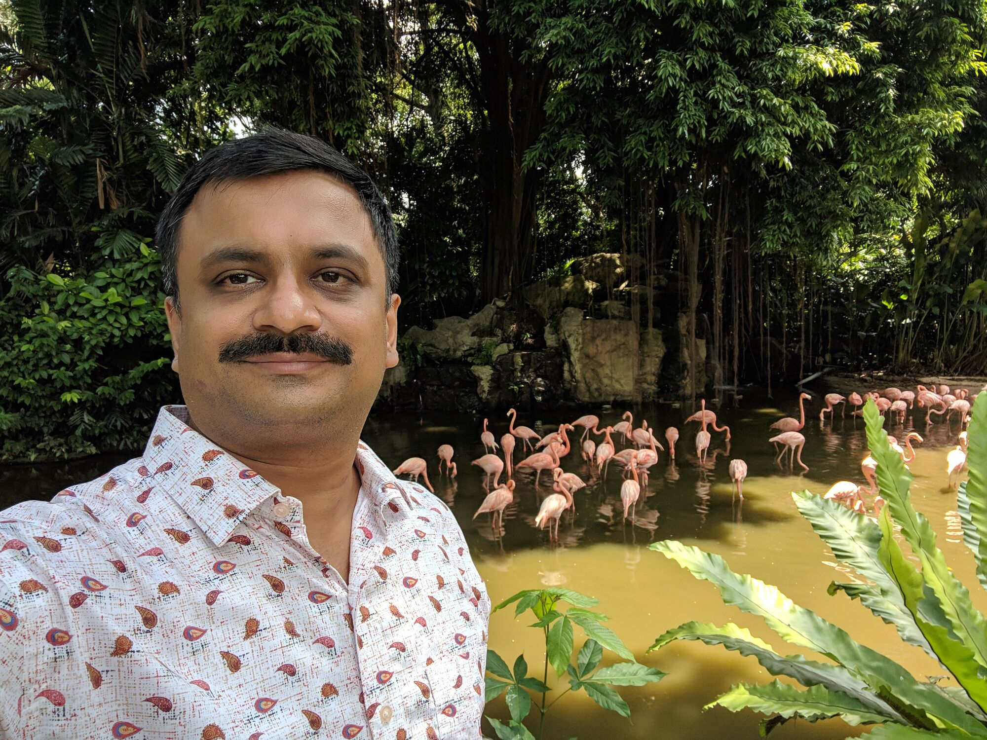 Venkatarangan in front of Pink Flamingos