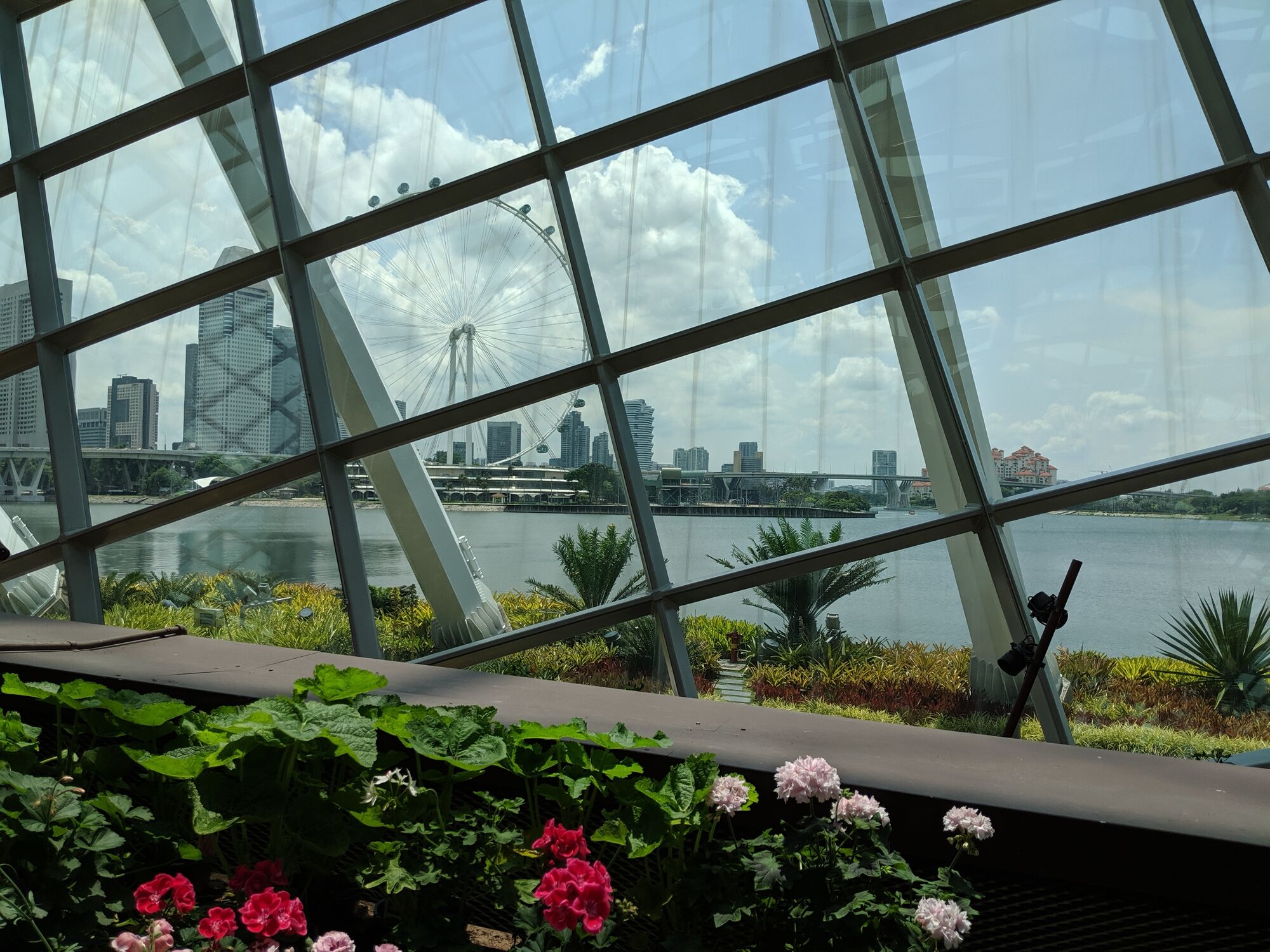 View of the Singapore Flyer