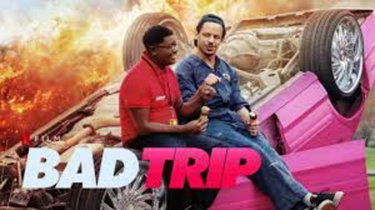 bad trip movie hindi