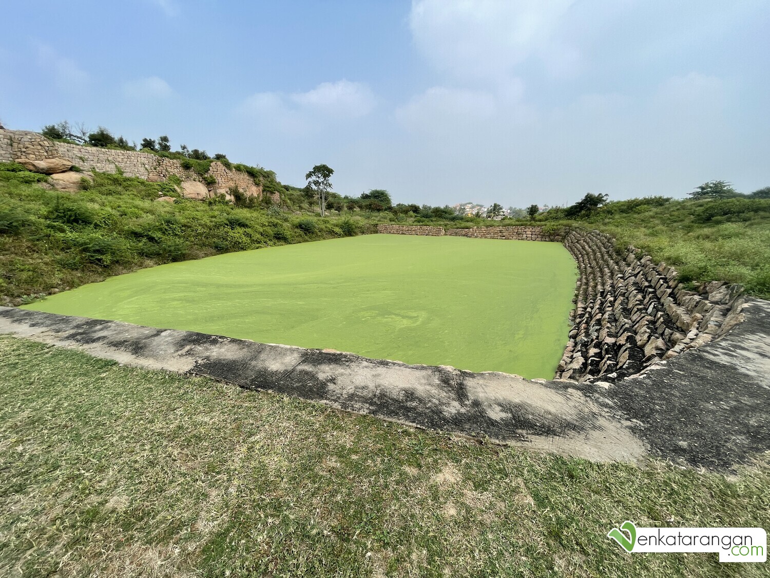 A pond at the foot of the hill covered with algae at Sankagiri Fort