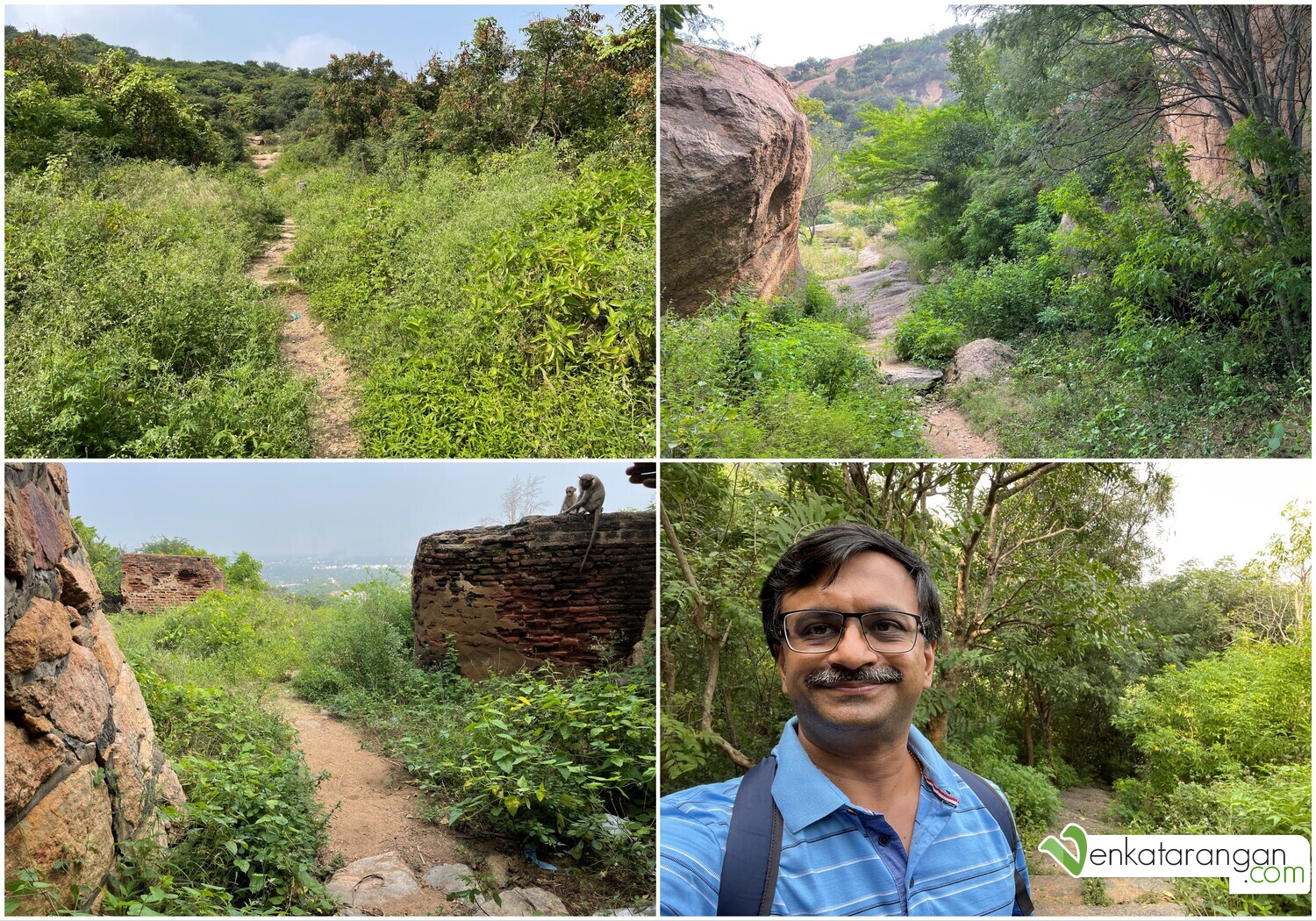 Much of the path up to the Sankagiri fort summit was unpaved and looked like what you see above. Many monkeys were on the way, by the way, the two you see in the bottom left picture were not the ones that followed me.