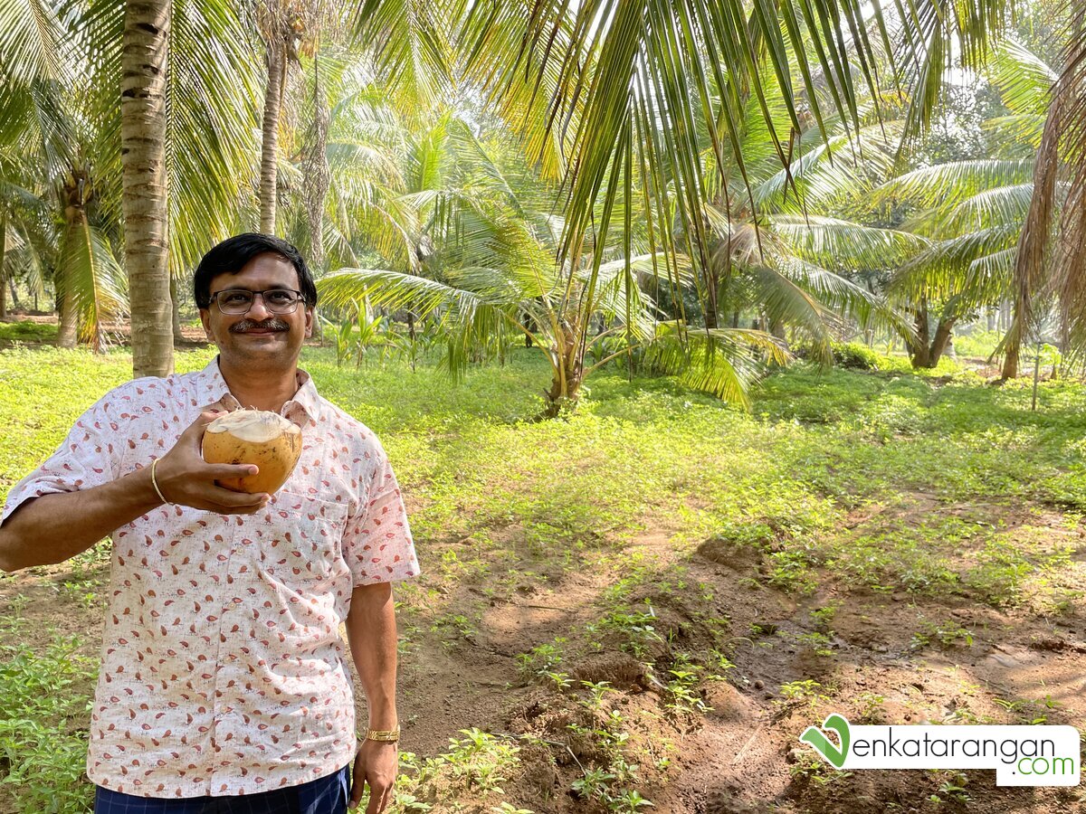 My wide smile in the picture is the true indication of how sweet the tender coconut water I was having tasted. Divine. Freshly plucked from the trees. Ripe, tender, sweet and juicy.