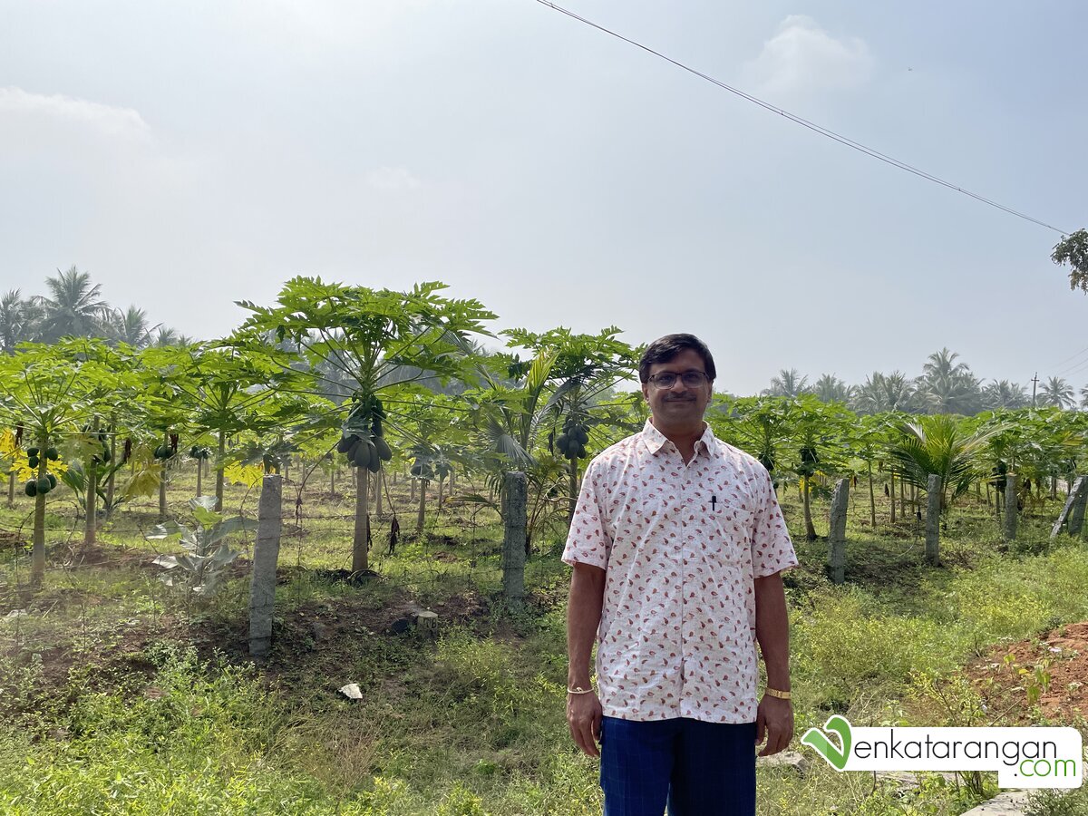 Venkatarangan posing in front of a farm growing lovely papaya on the sides of the Karimangalam to Pochampalli Road