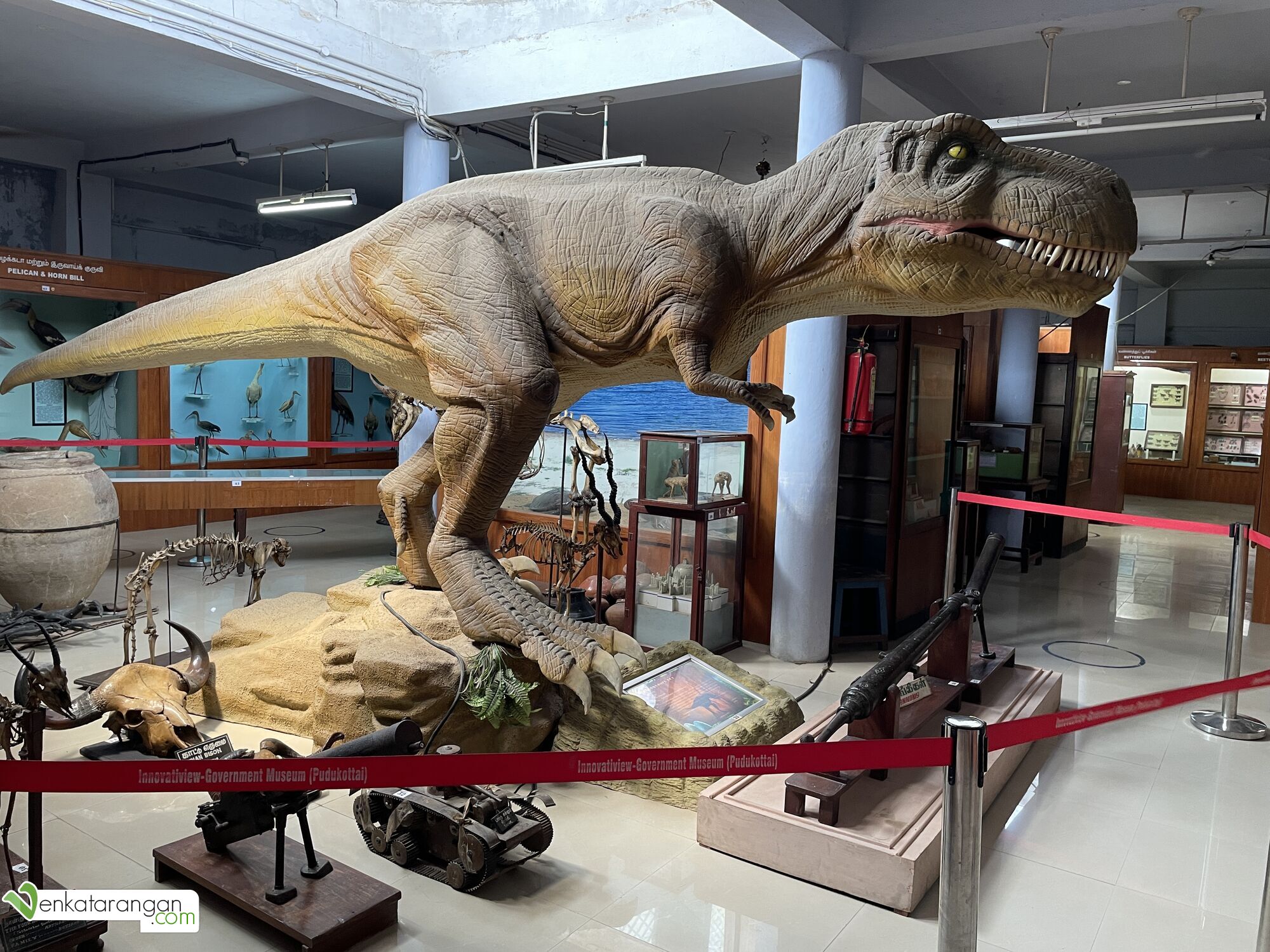 A dinosaur and a cannon on display