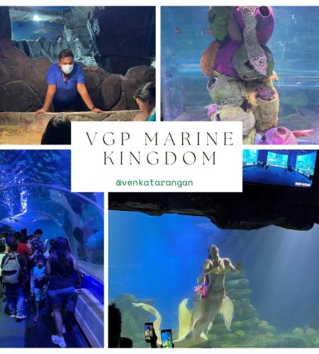VGP Marine Kingdom, Chennai’s aquarium