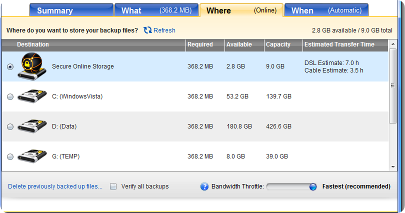 Norton 360 v3.0 Online storage