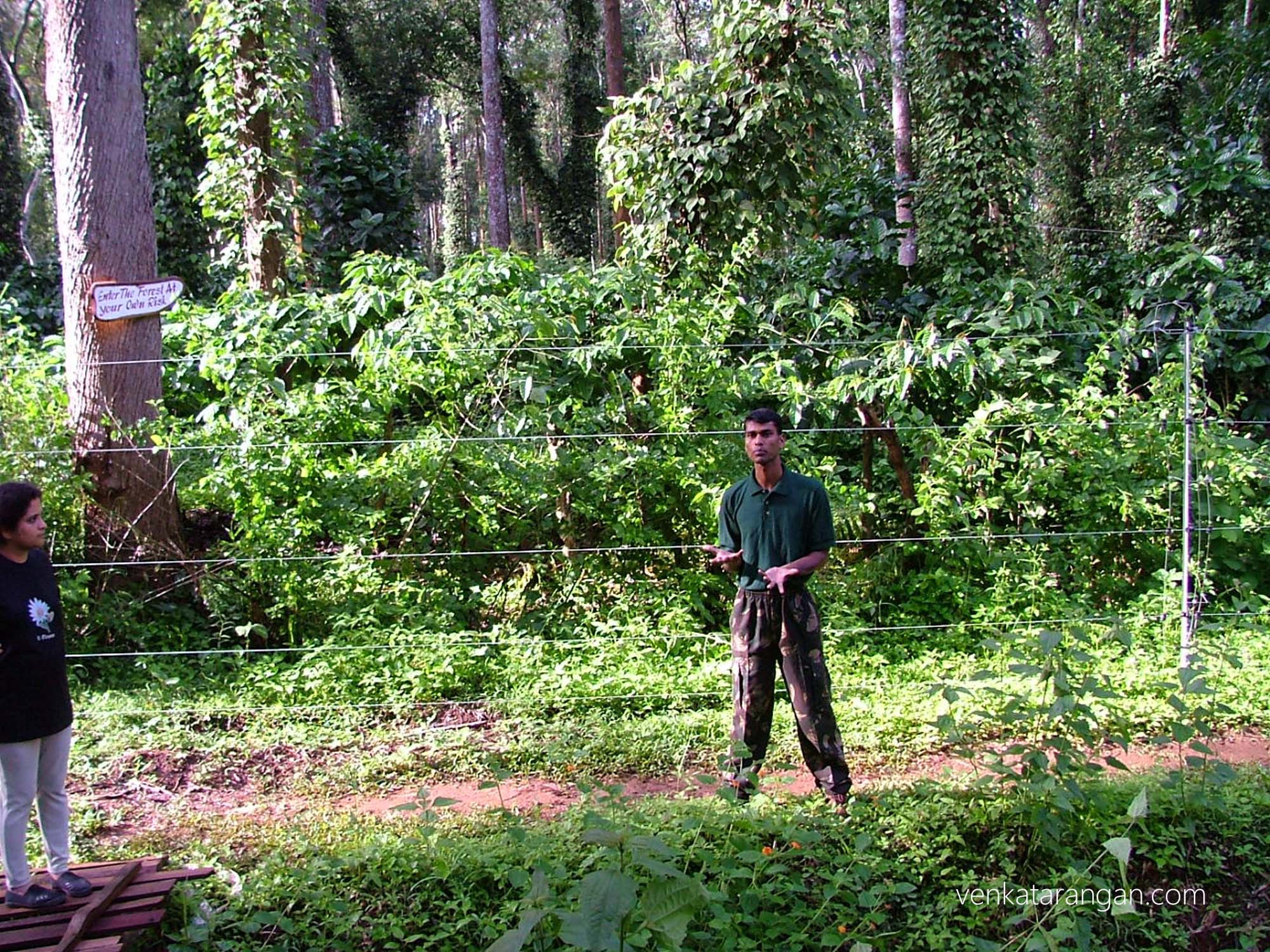Naturalist from Orange County resort explaining about the flora and fauna of the place