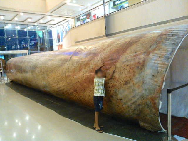 Dosa Big3