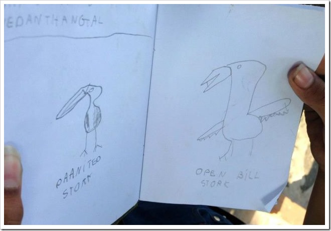Sketches made by son during the tour to Vedanthangal Bird Sanctuary