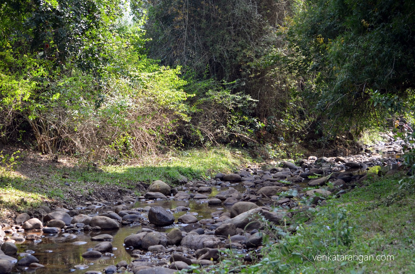 Running water stream, just 2 minutes walk from the house