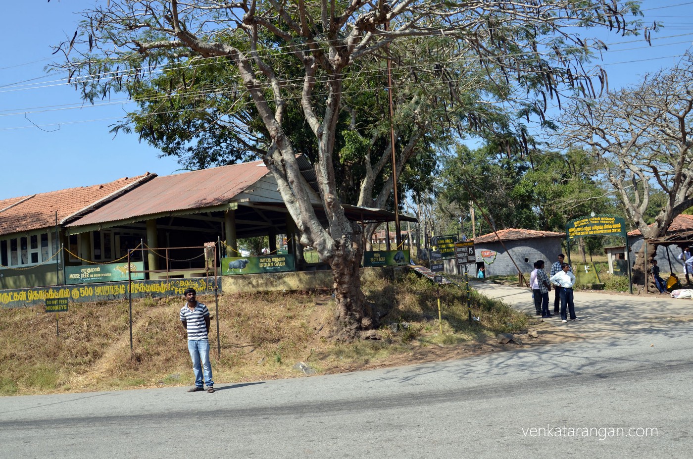 Mudumalai Tiger Reserve - Tourist Centre