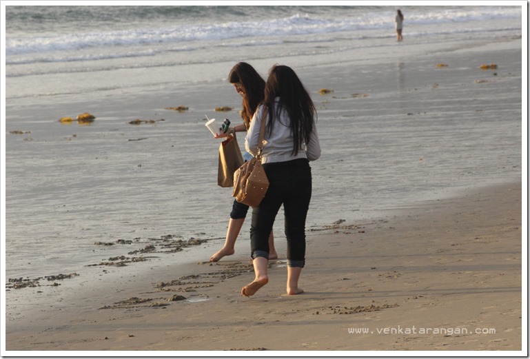 Santa Monica Pier (31)