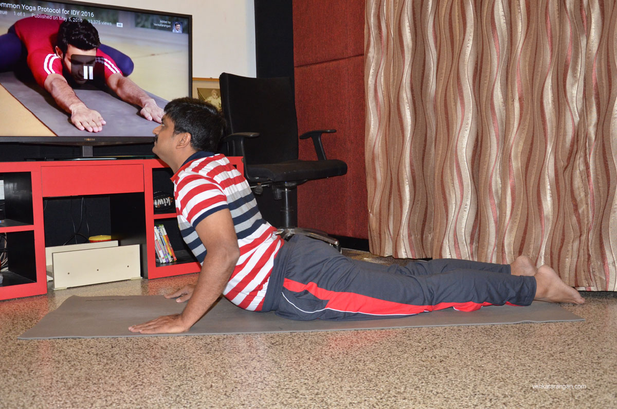 BHUJANGĀSANA (The Cobra Posture)