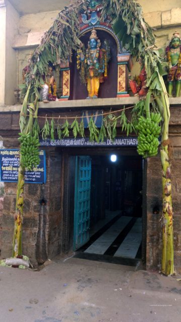 cuddalore-5