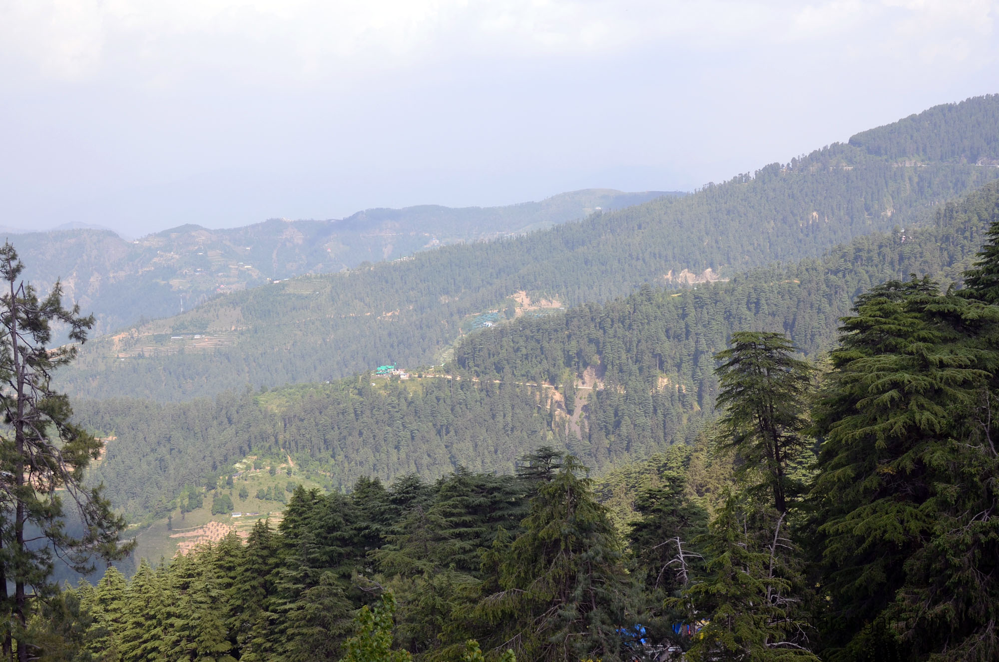 Wildflower hall - surrounded by acres of protected cedar forest