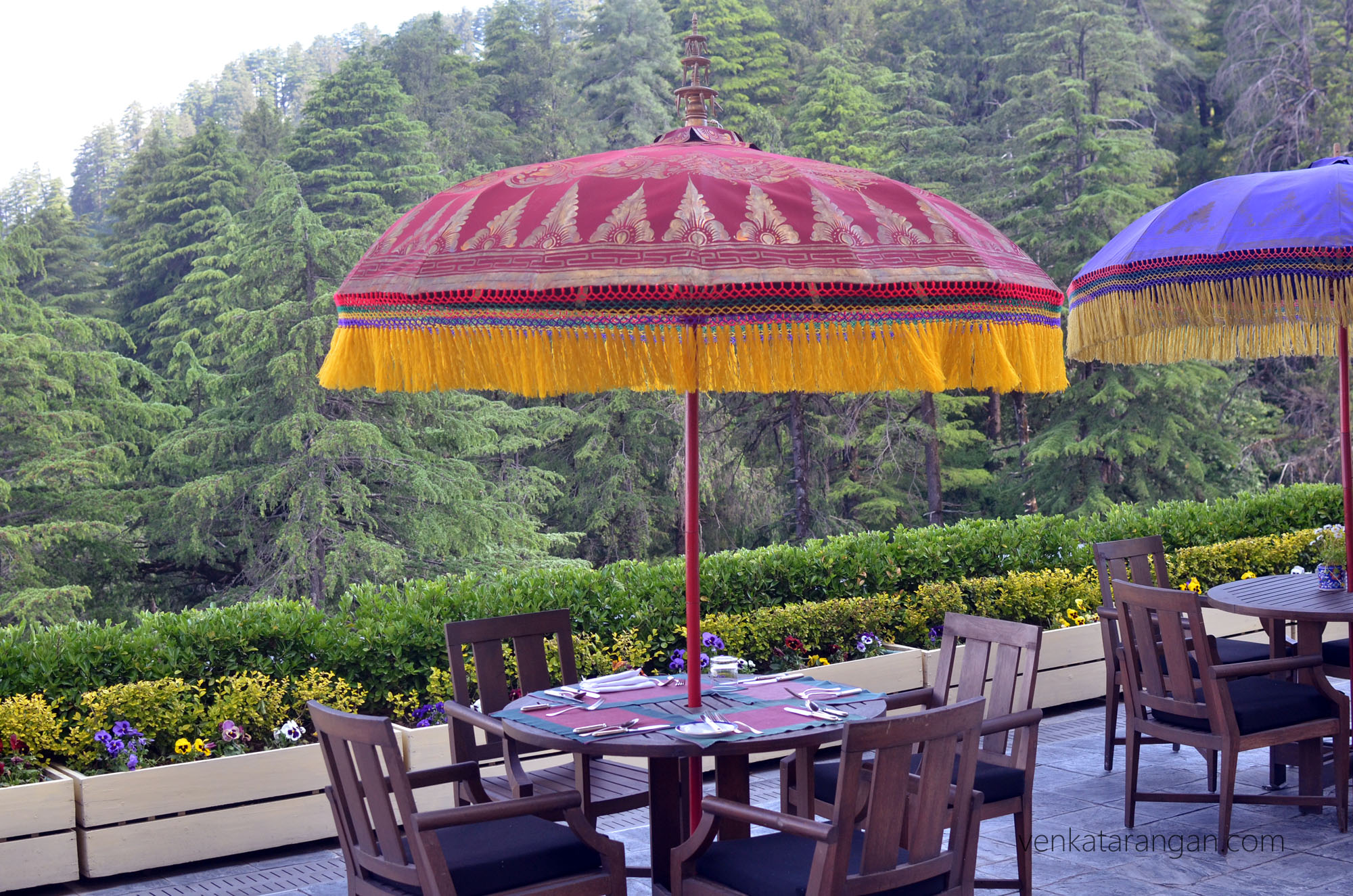 Wildflower hall - Evenings from this open-air restaurant have mesmerizing views