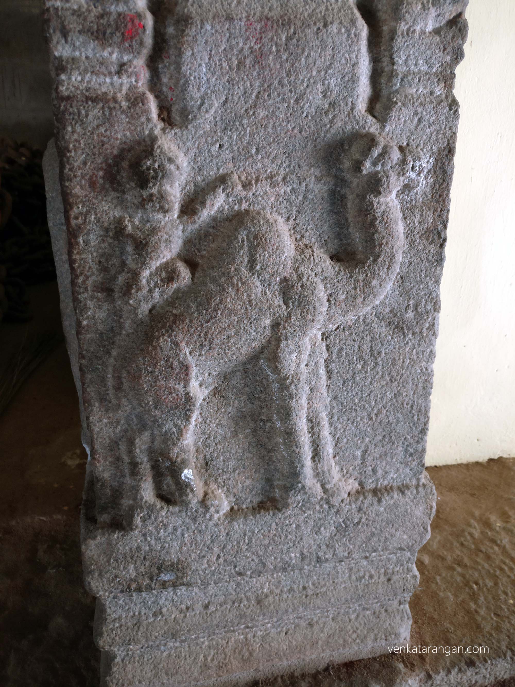 Merchant riding a camel