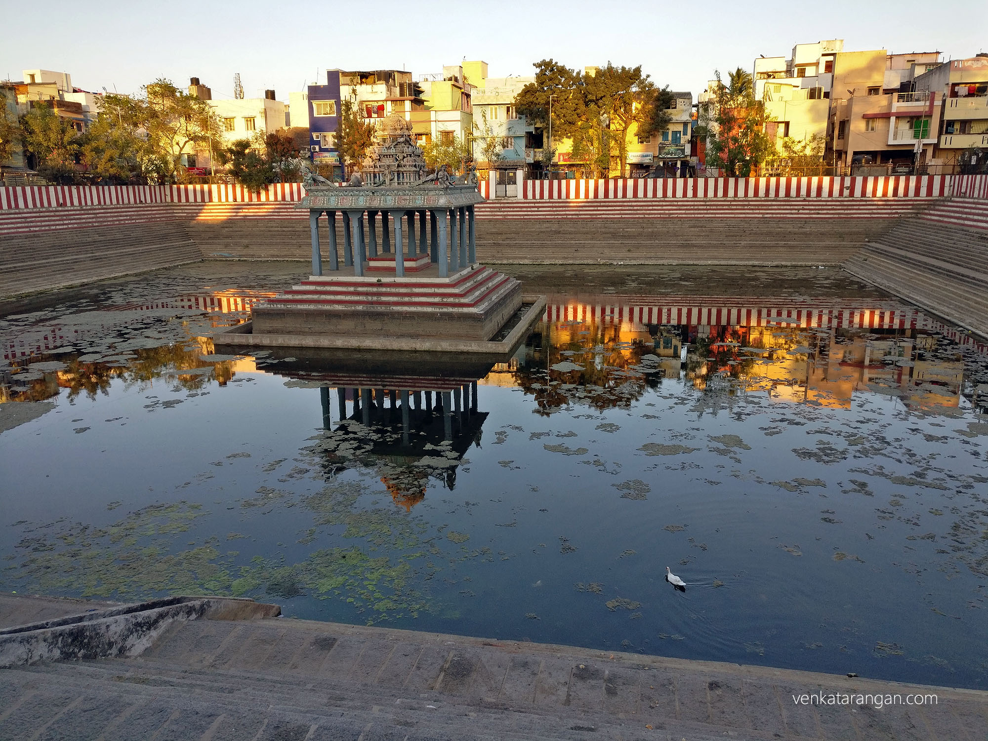 Temple Tank - வடபழநி முருகர் கோயில் குளம் 