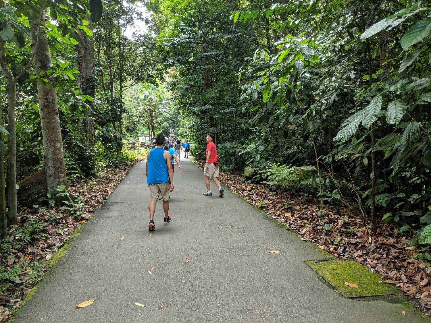 The trail begins