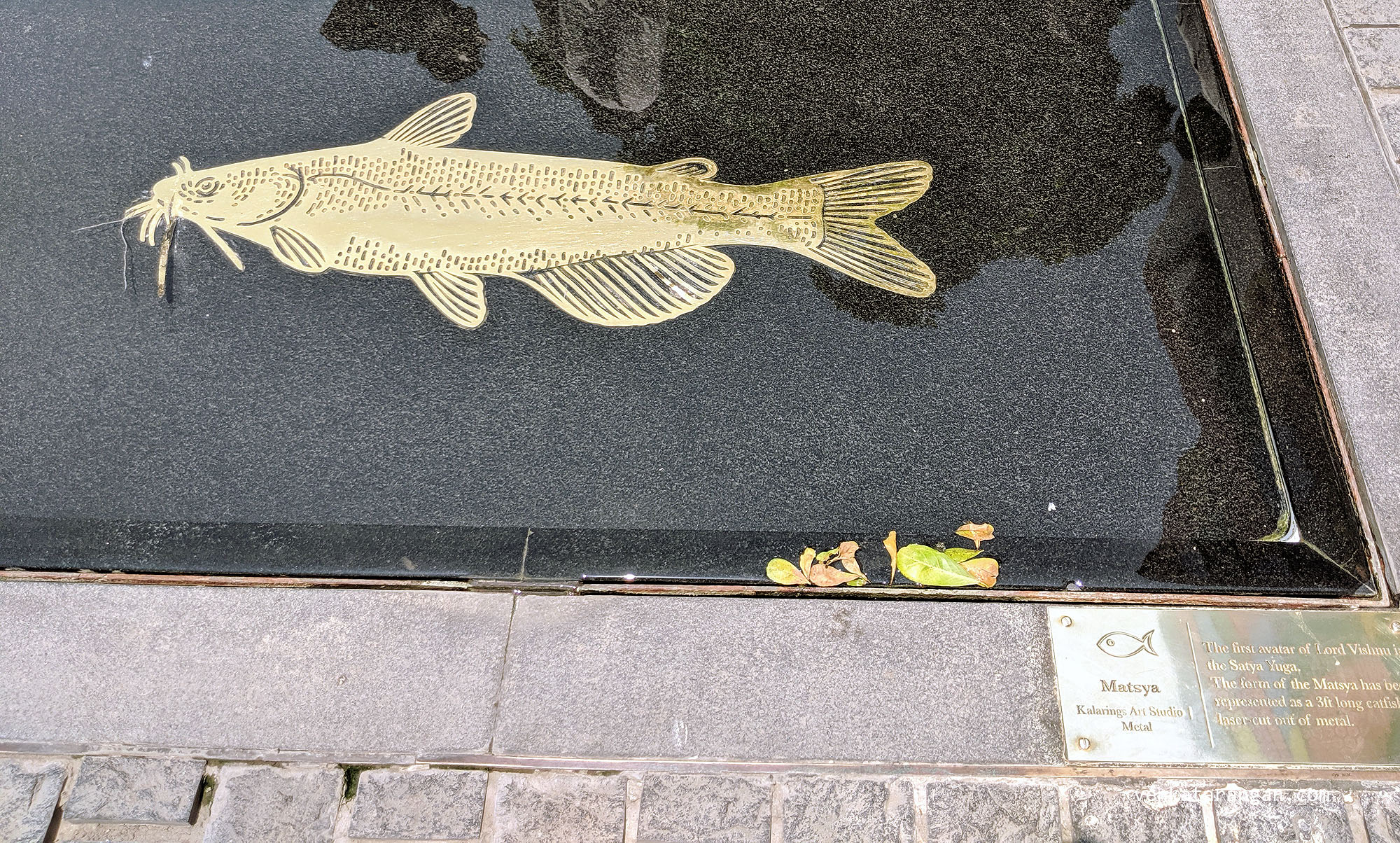 Dasavaratharam - 1. The Matsya - The narration of the familiar Dasavaratharam started with the Matsya (The Fish) which has represented as a 3ft long catfish.
