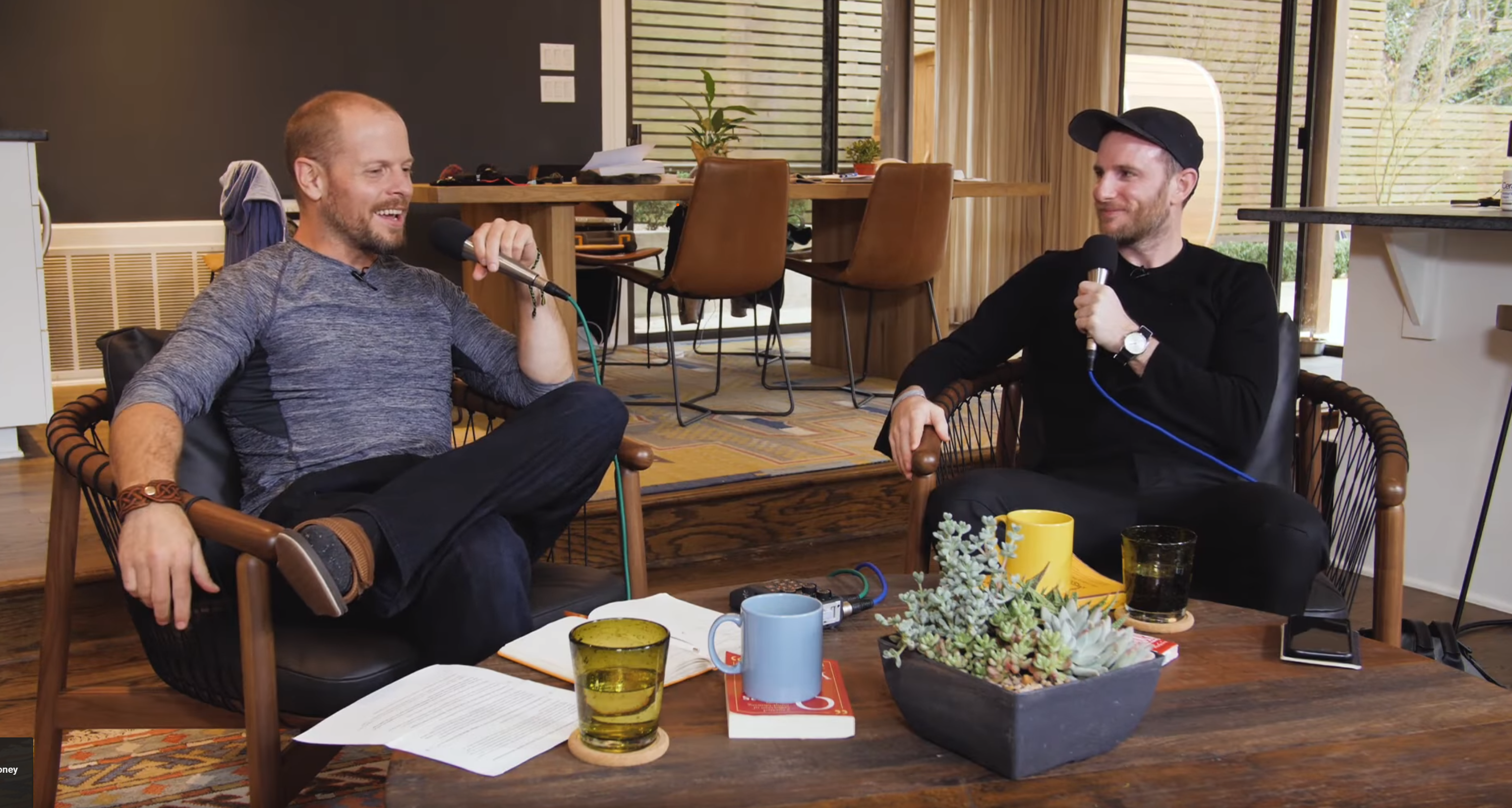 Tim Ferris Show - Joe Gebbia — Co-Founder of Airbnb (#301)