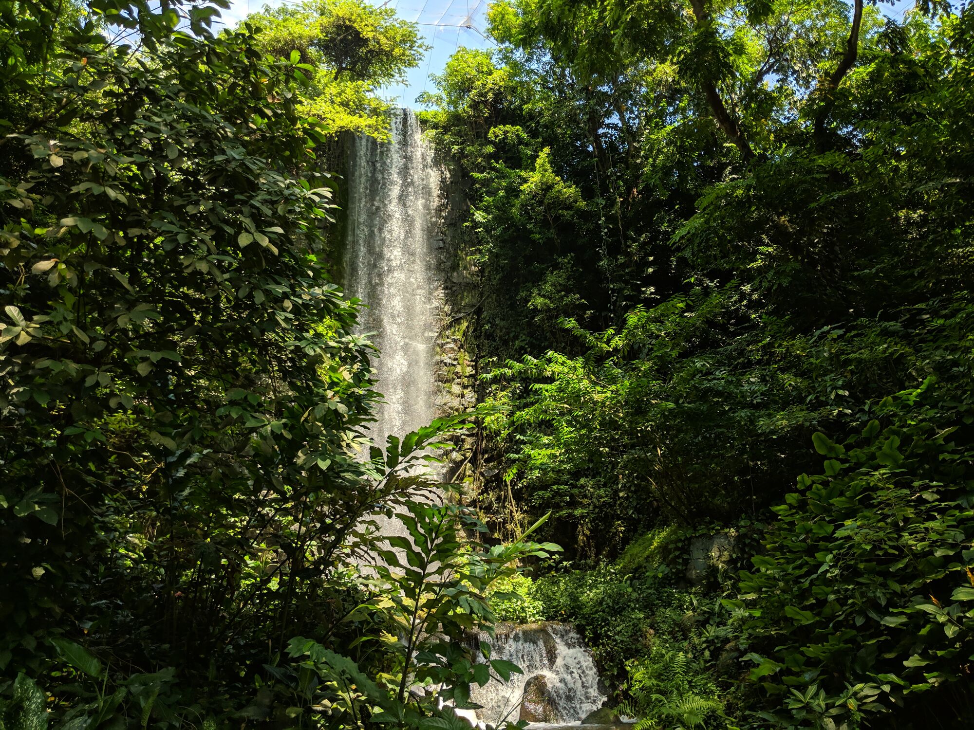 The Waterfall Aviary towers at a height of 35m (equivalent to 13 storeys). It is man-made yet serene and beautiful. Over 600 birds fly free here