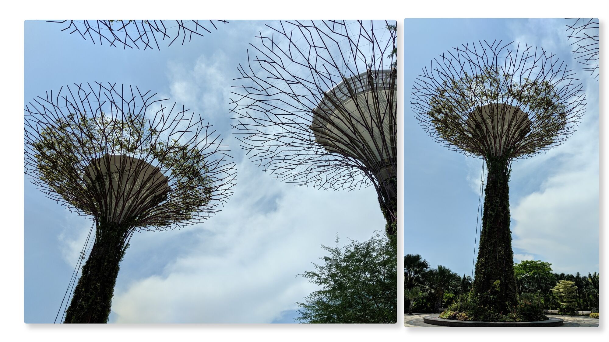 Gardens by Bay, Singapore