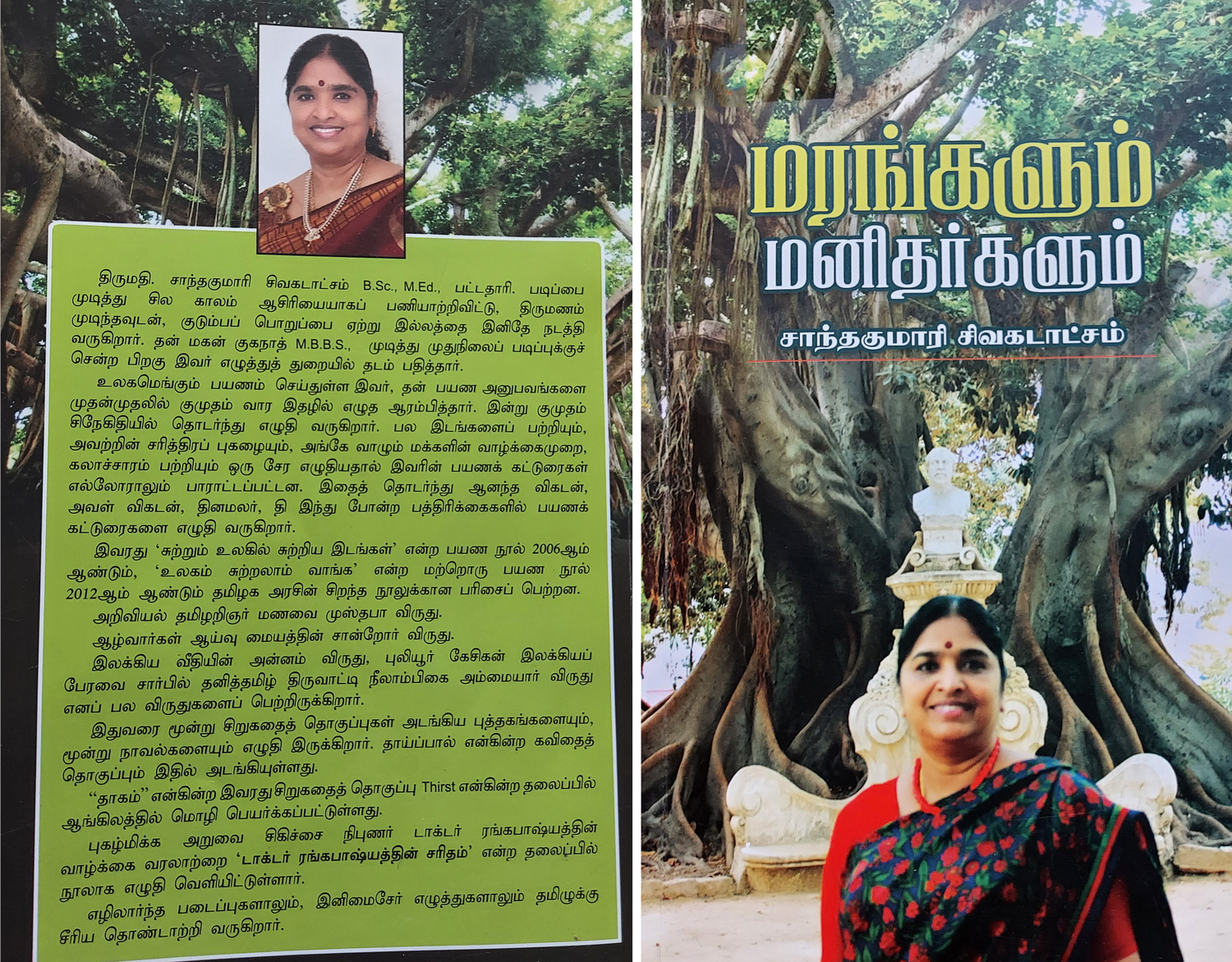 மரங்களும் மனிதர்களும்
