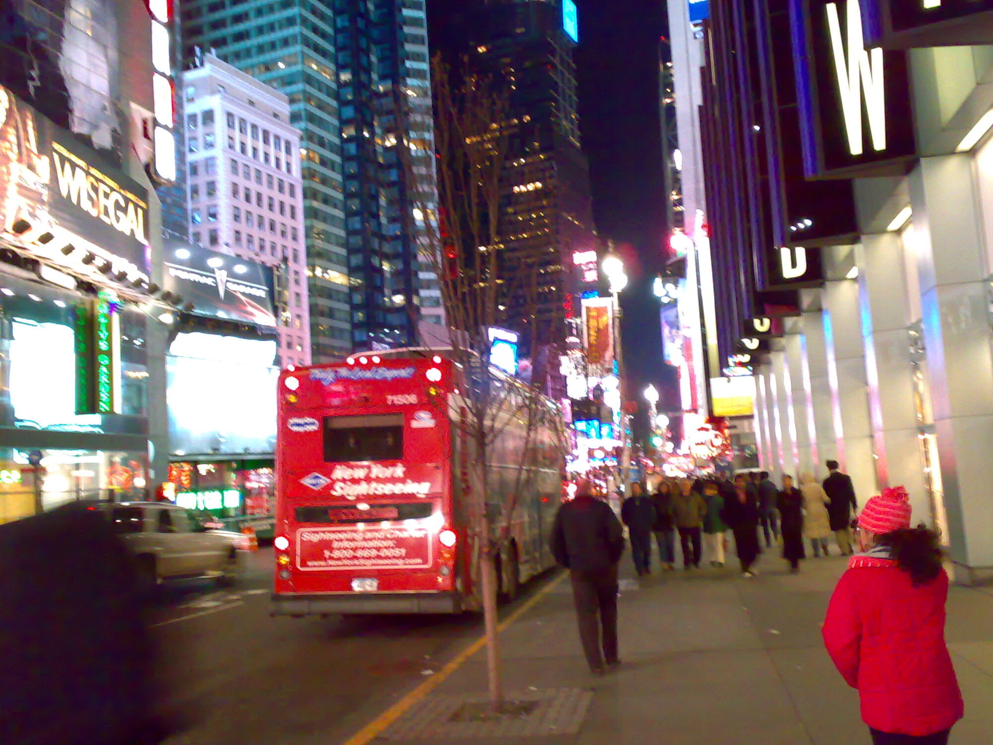 New York Sightseeing buses