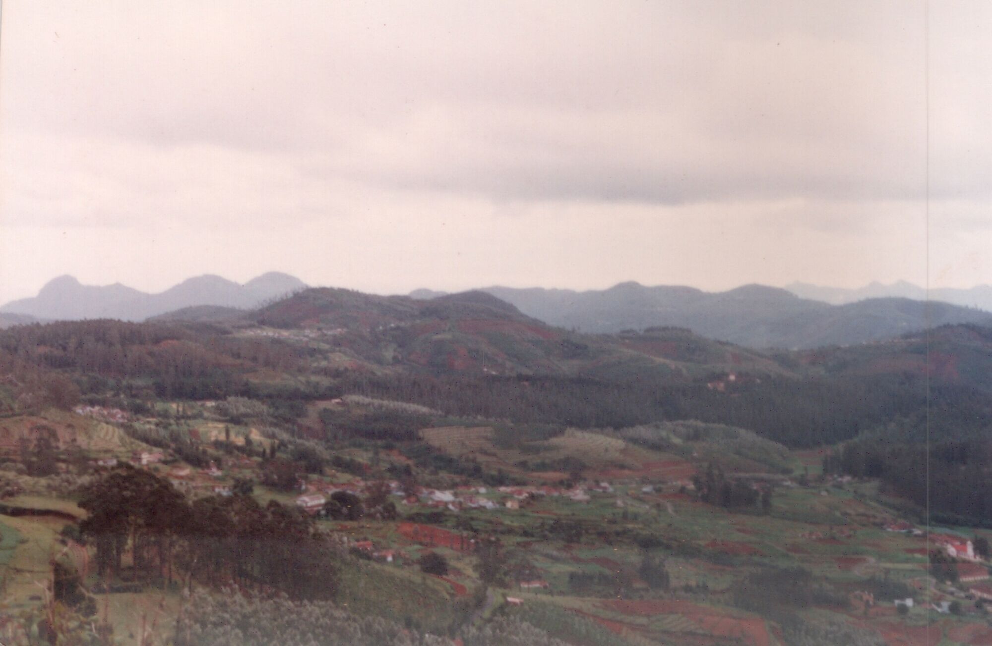 Ooty Hillside in 1995