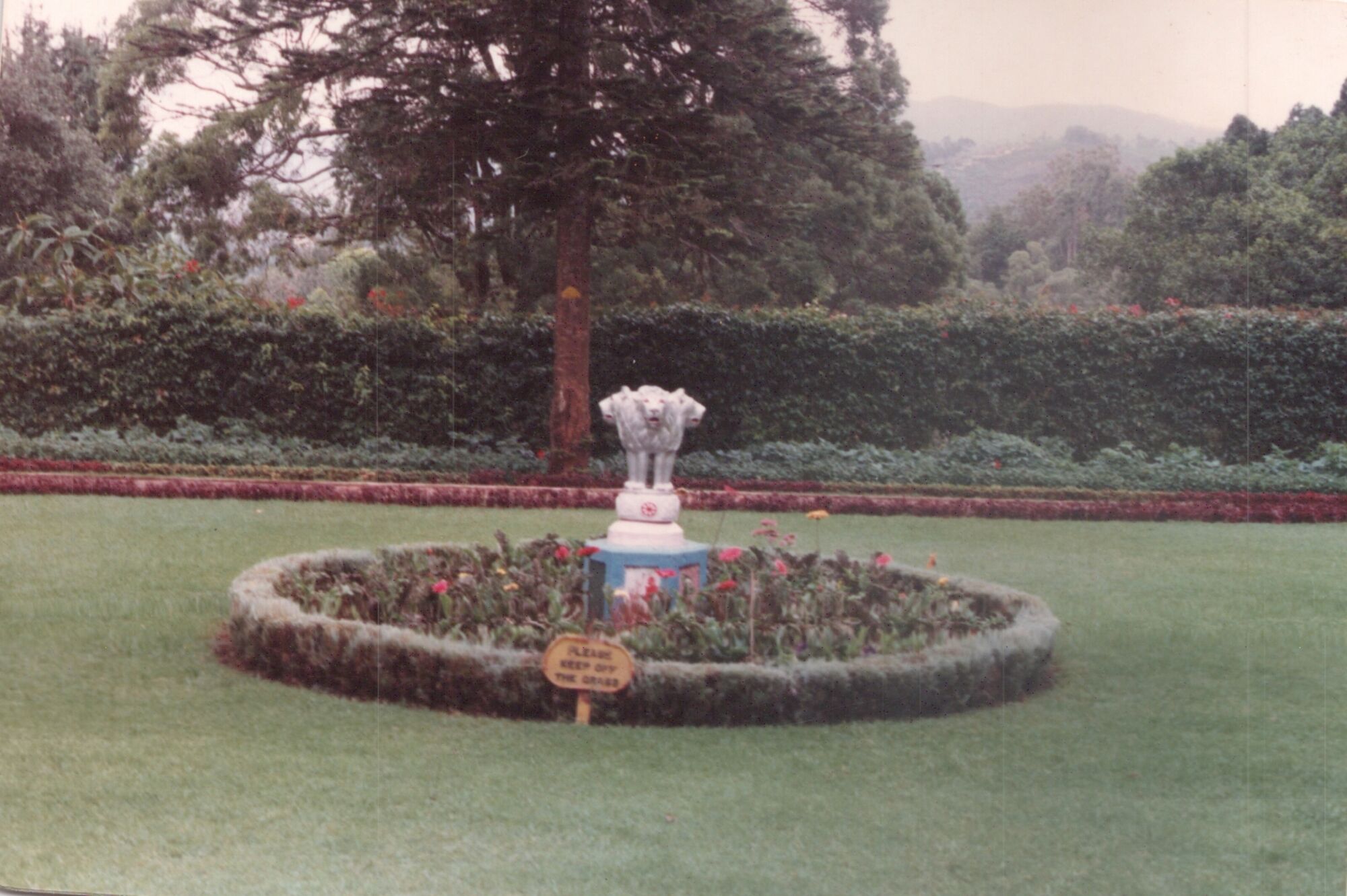 Sim's Park, Coonoor in 1995