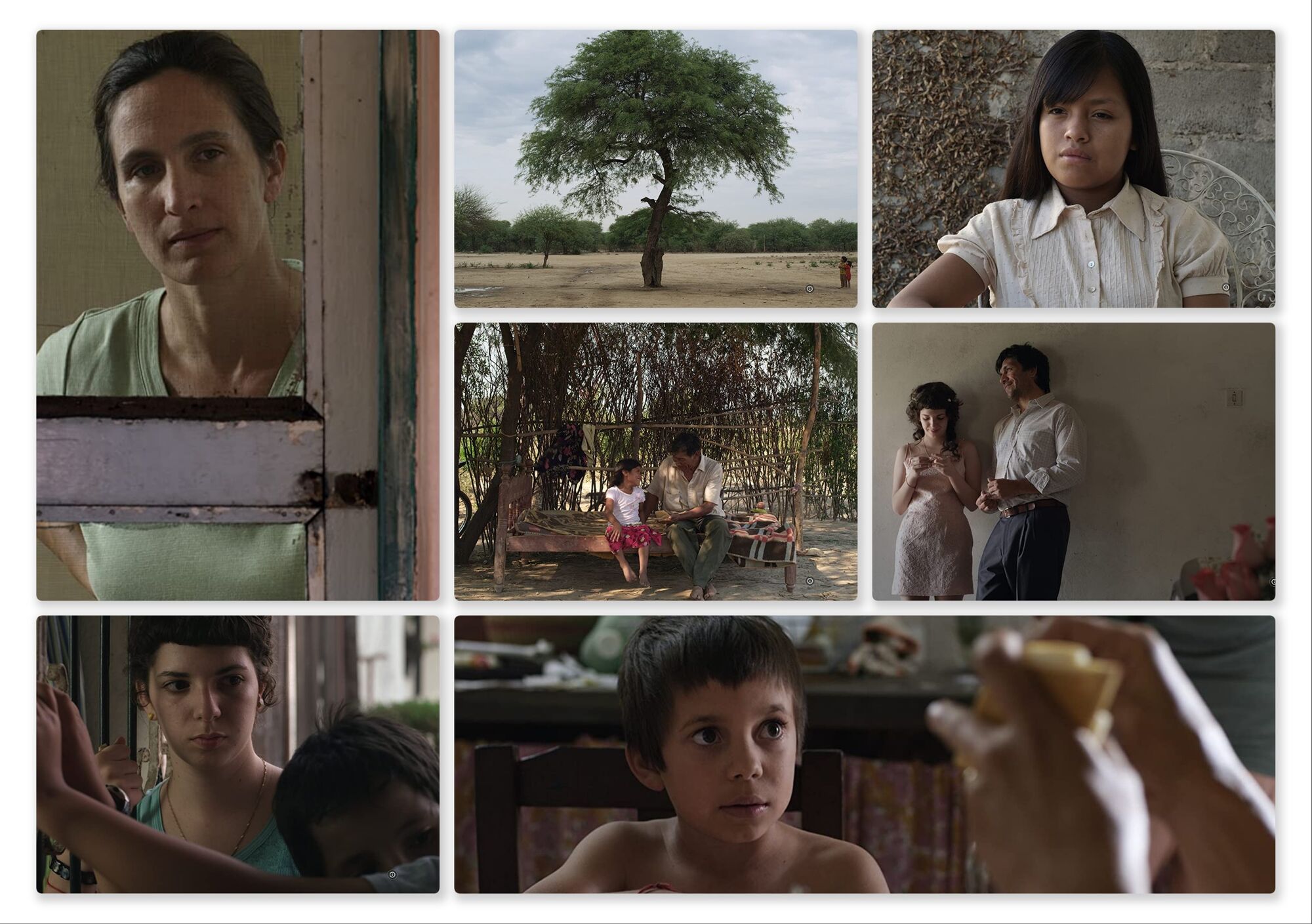 The Beauty (2012) by Daniela Seggiaro