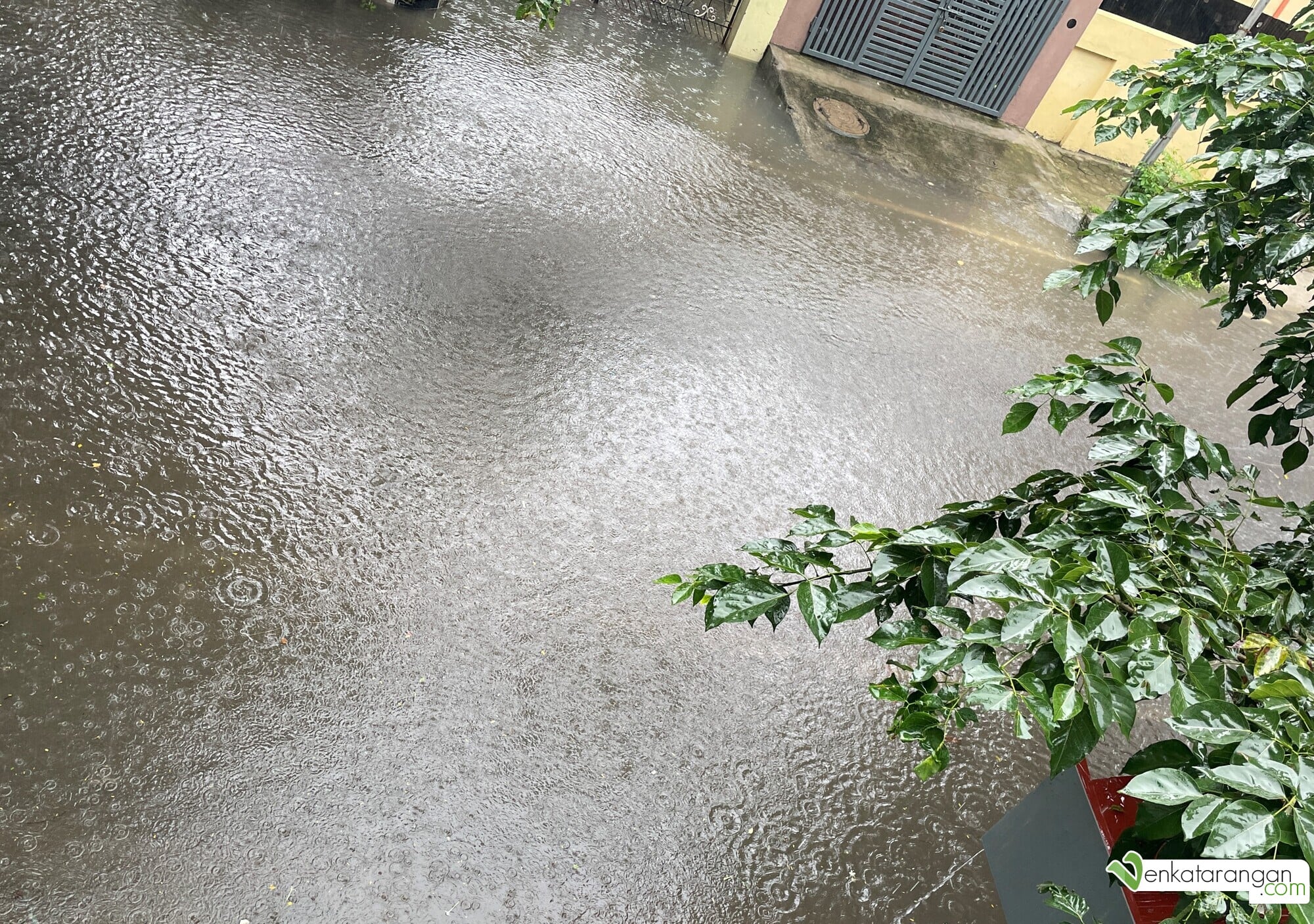 Chennai Rains - 7th Nov 2021