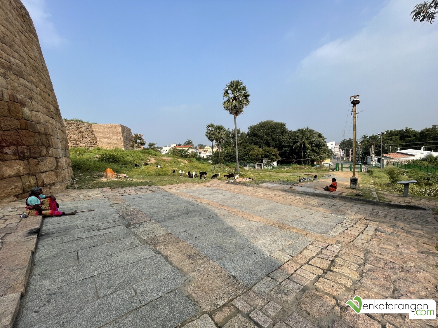 Goat rearers and their goats seen here at the plains