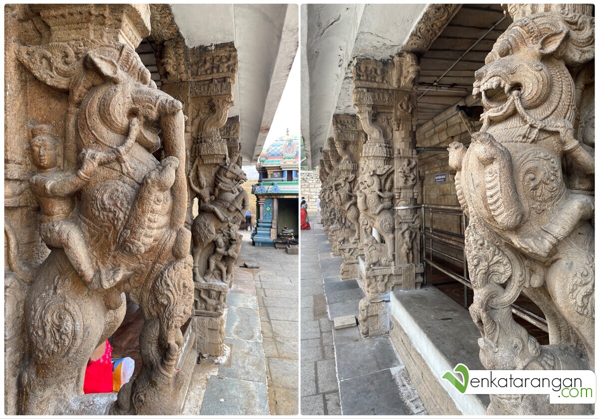 The mythical creature yali (yazhi) depicted in the stone sculptures