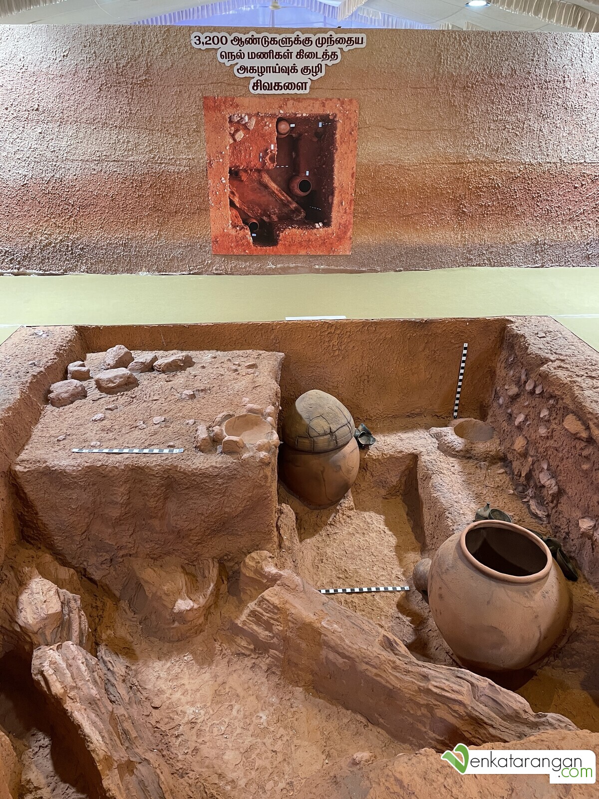 3200 ஆண்டுகளுக்கு முந்தைய நெல் மணிகள் கிடைத்த அகழாய்வுக் குழி, சிவகளை