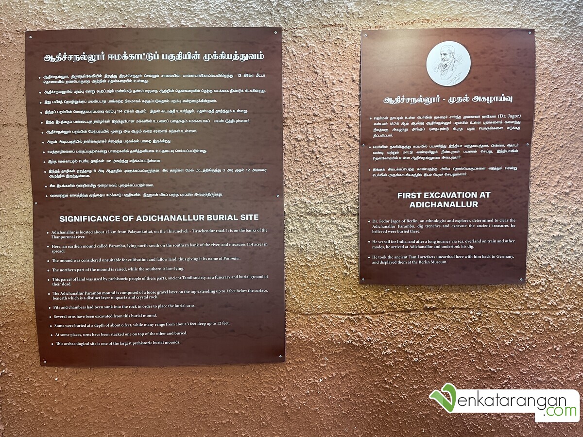 ஆதிச்சநல்லூர் ஈமக்காட்டுப் பகுதியின் முக்கியத்துவம் (Significance of Adichanallur burial site)