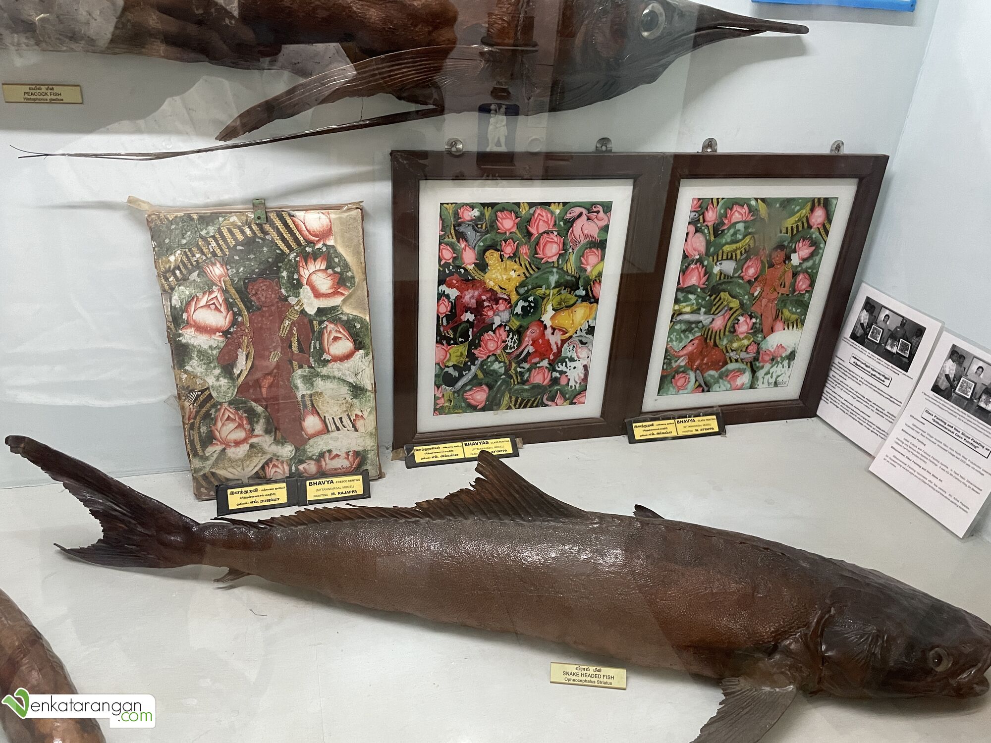 Bhavya - Glass Painting