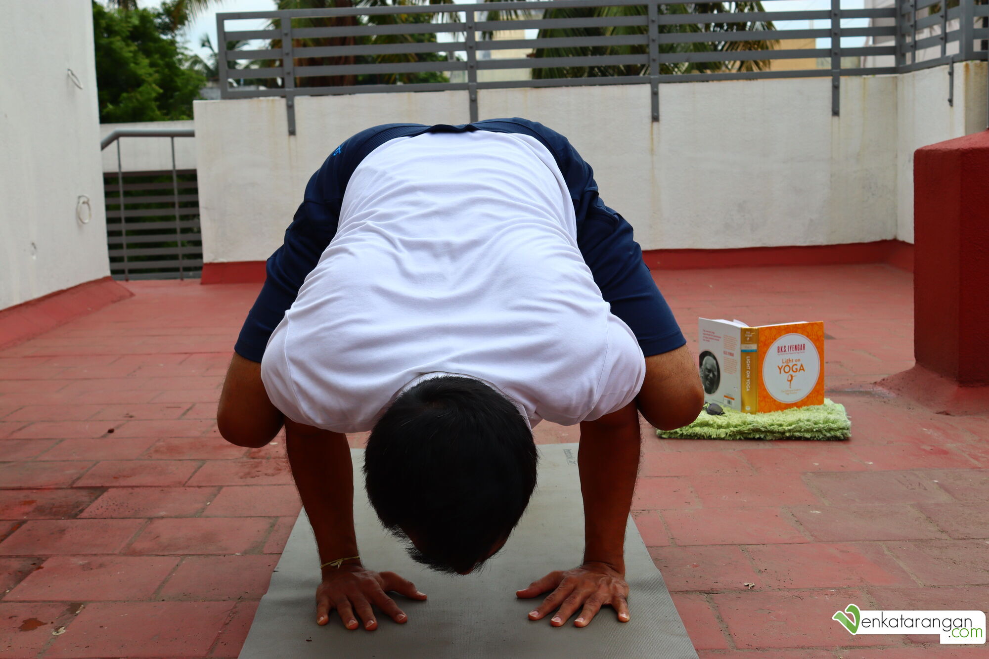 The Crow Pose – Kakasana